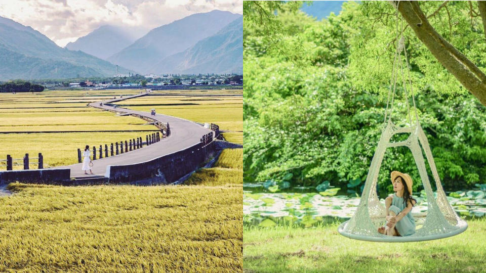 我的夢境遺落在稻海裡 花東田園系療心之旅