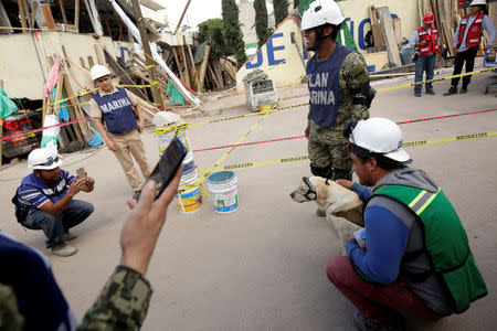 REFILE - CORRECTING BYLINE People pose for a picture with rescue dog Frida after an earthquake hit Mexico City, Mexico September 22, 2017. REUTERS/Jose Luis Gonzalez