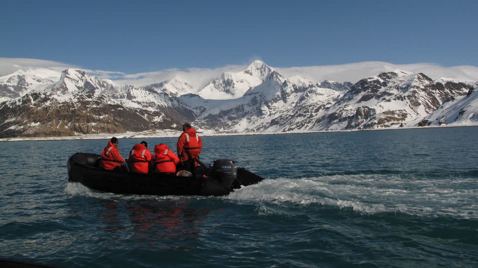 The octopuses used in the study were collected from the seabed around Antarctica.  - Nerida Wilson/University of Western Australia