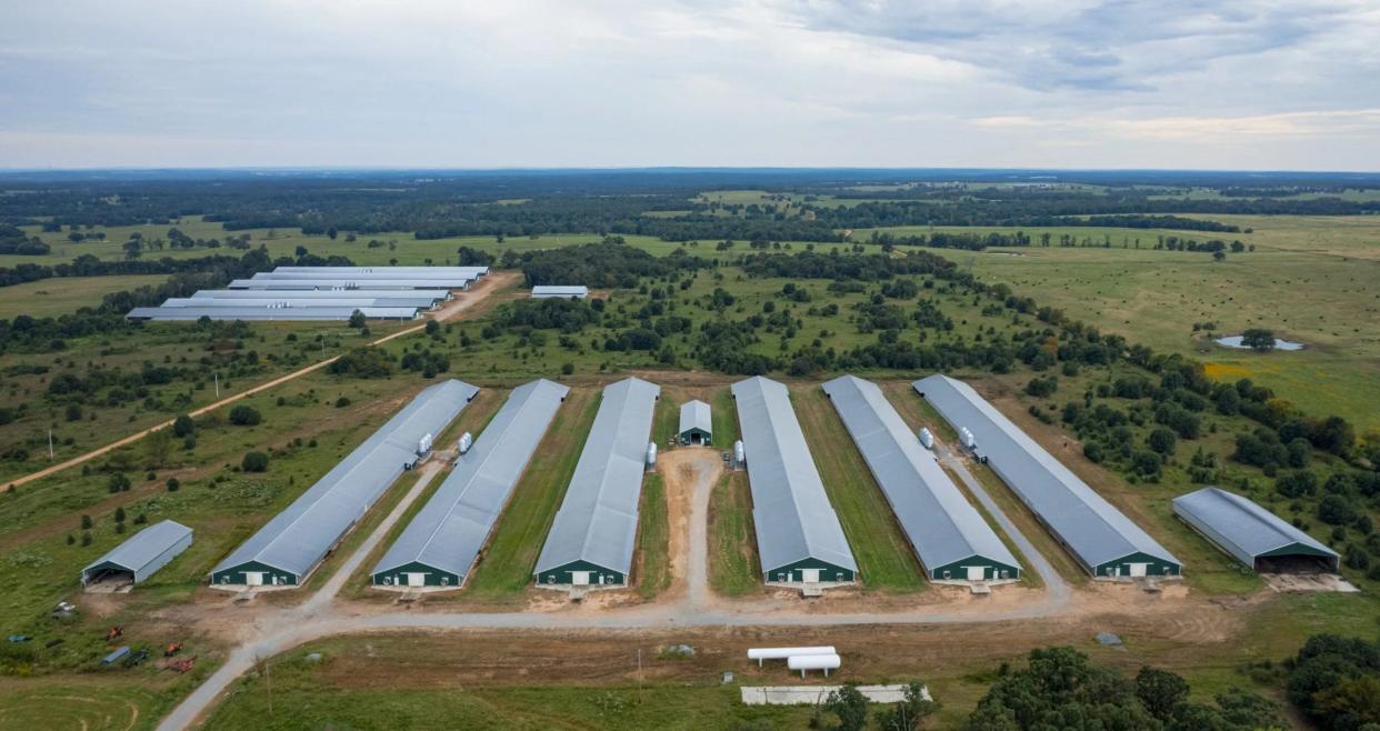 Eastern Oklahoma has seen significant growth in recent years of large industrial poultry farms, like this one in southern Delaware County.