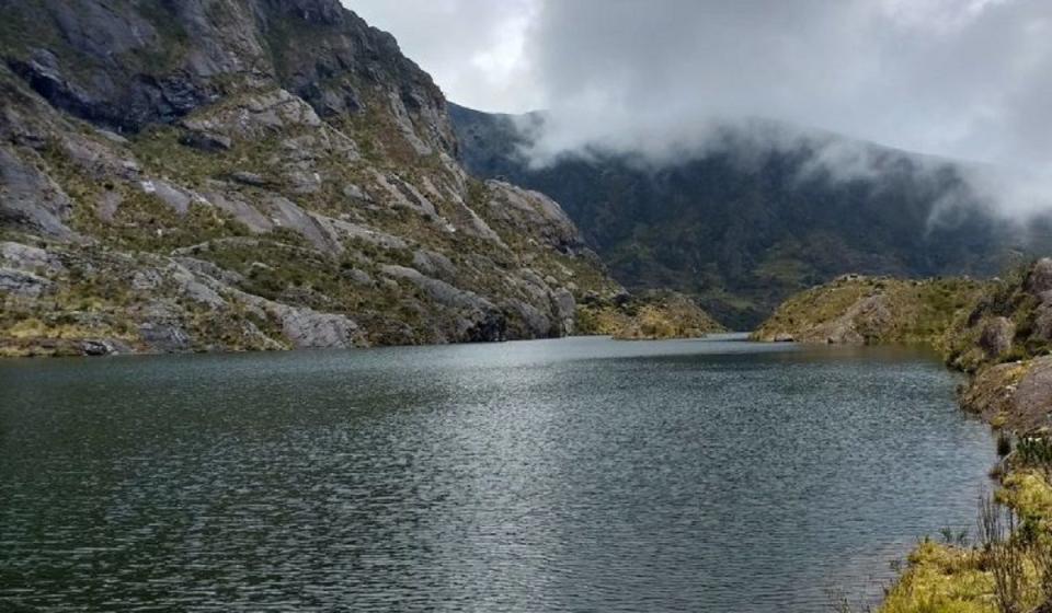 Colombia gana pleito a minera Red Eagle por operaciones en Páramo de Santurbán. Foto: Observatorio de Ambiente Bogotá