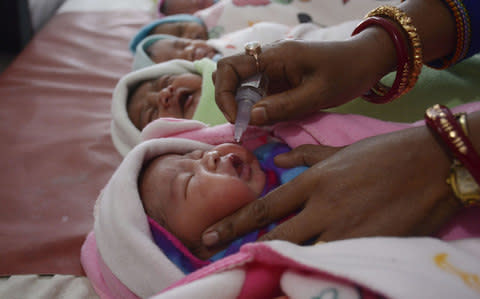 New-born babies at a government hospital in Agartala - Credit: AFP