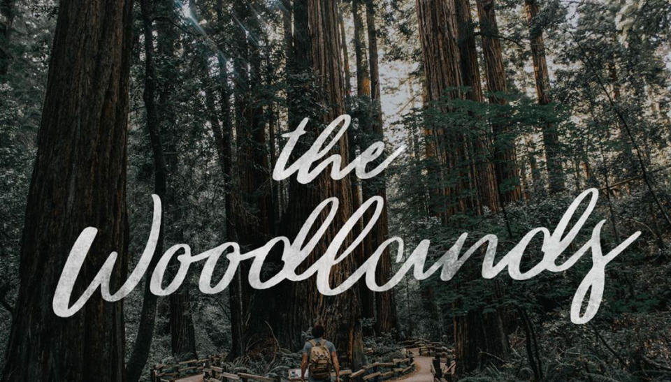 Free script fonts: sample of The Woodlands