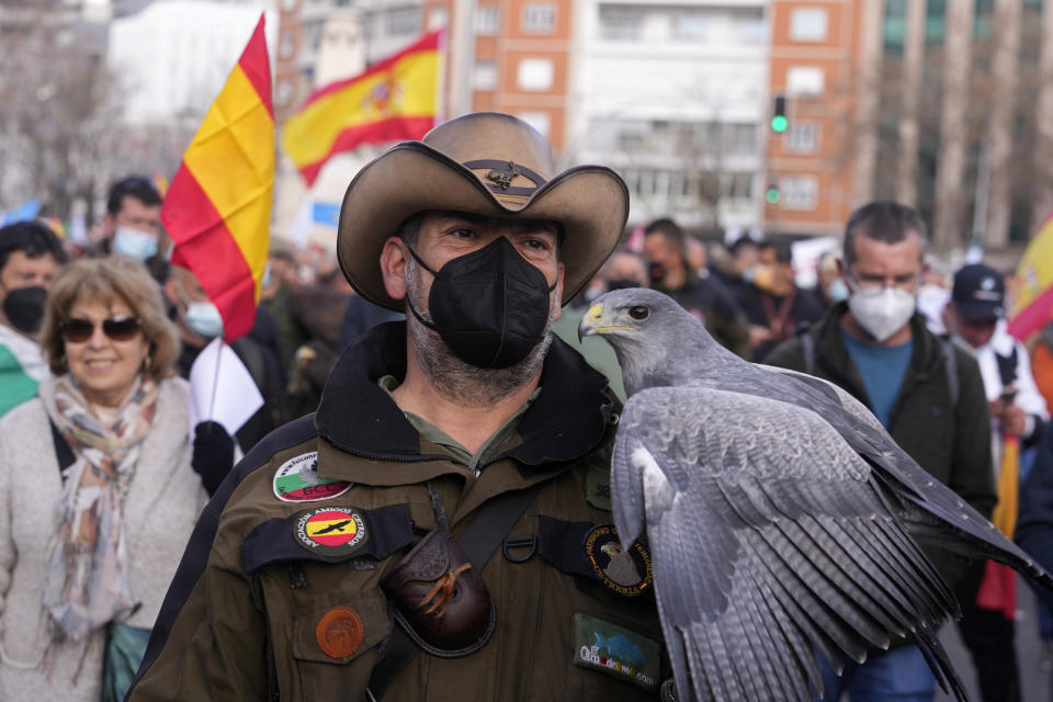 A man walks with a hunting bird during a protest march down the Castellana Boulevard in defence of Spanish rural areas in Madrid, Spain, Sunday, Jan. 23, 2022. Members of rural community are demanding solutions by the government for problems and crisis in the Rural sector. (AP Photo/Paul White)