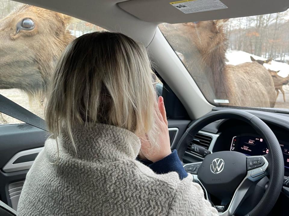 Behind view of the writer in a beige sweatshirt holding hands to her face at the driver's seat of a car as caribou stand outside her window