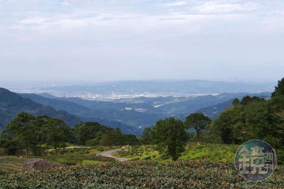 站在「熊空茶園」觀景平台，能盡收大台北及桃園市鎮風景。