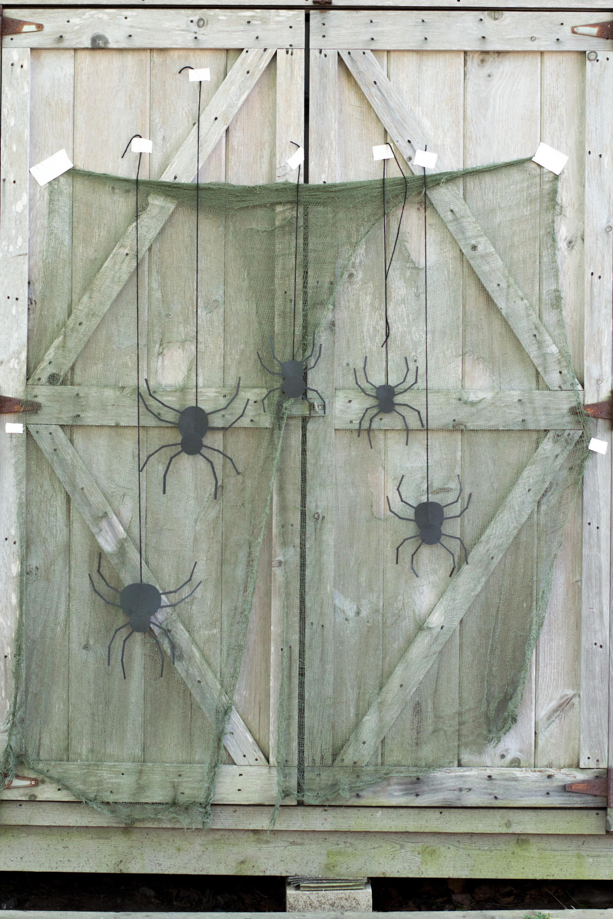 photo backdrop halloween door decoration (A Night Owl)