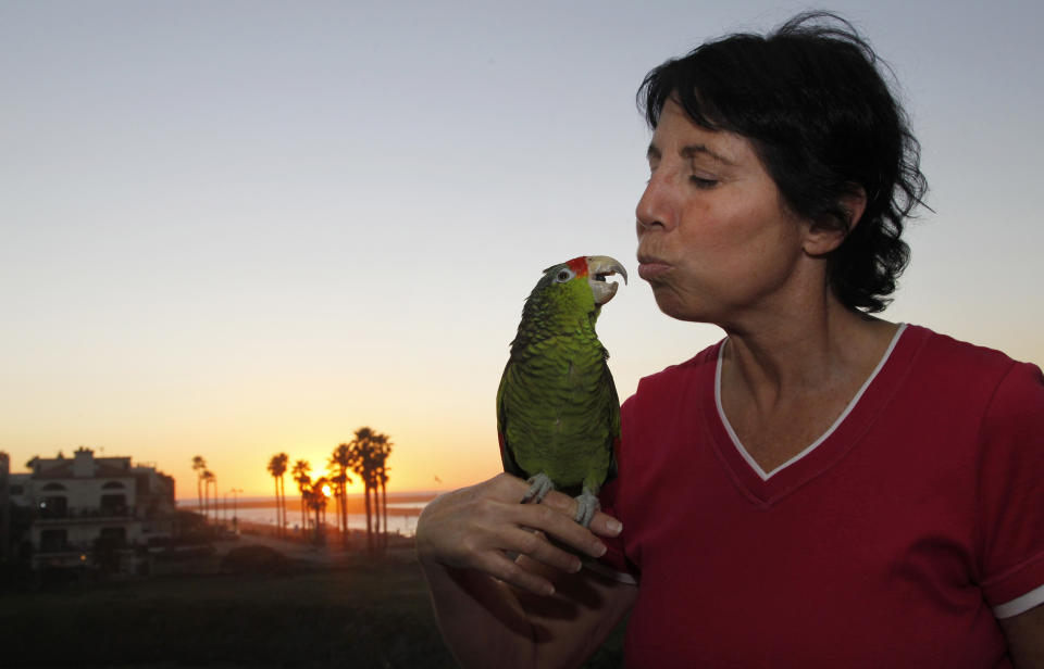 In this photo taken on Tuesday, Feb. 8, 2012, Mira Tweti, Executive Director, National Parrot Care & Cage Xchange, kisses her rescue parrot named "Liberty," in her apartment in the Marina Del Rey area of Los Angeles. (AP Photo/Damian Dovarganes)