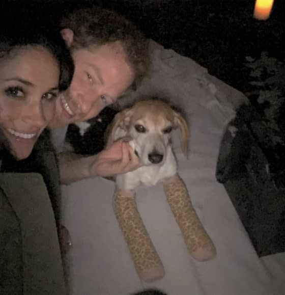 Meghan Markle, Prince Harry and Guy the Beagle on the night the couple got engaged. Netflix