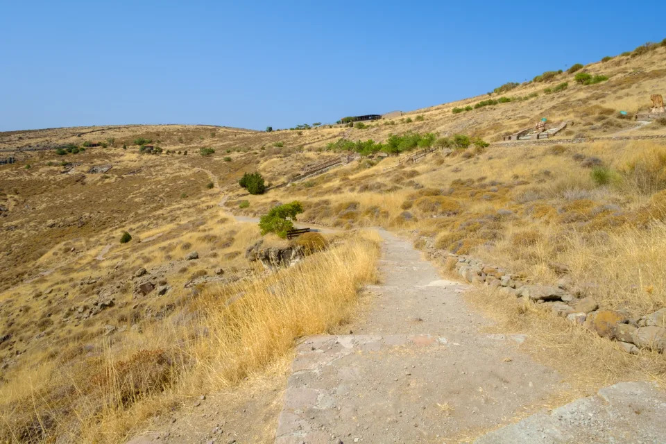 <p>Todo el territorio de la isla ocupa el llamado Geoparque de Lesbos y contiene uno de los bosques petrificados más grandes del mundo. Restos de troncos, ramas, raíces, hojas, semillas e incluso animales permanecen en un bosque antiguo que quedó congelado por una lluvia de ceniza volcánica hace 20 millones de años. (Foto: Getty Images).</p> 