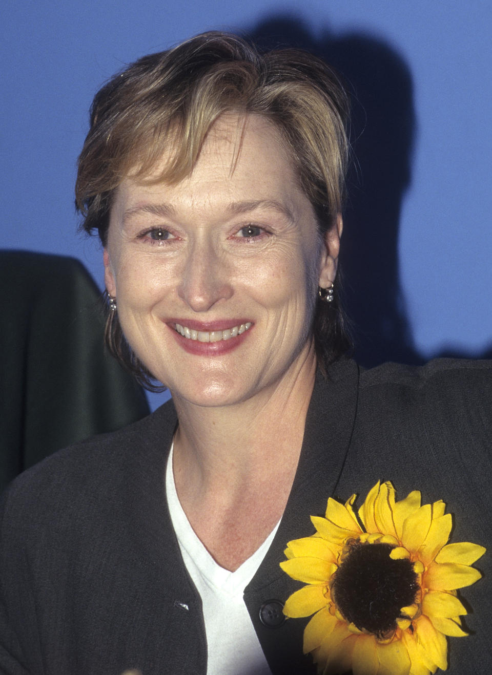 <p> Meryl Streep attends the Mothers &amp; Others for a Livable Planet&apos;s Fifth Annual Family Funfest in 1996&#xA0; </p>