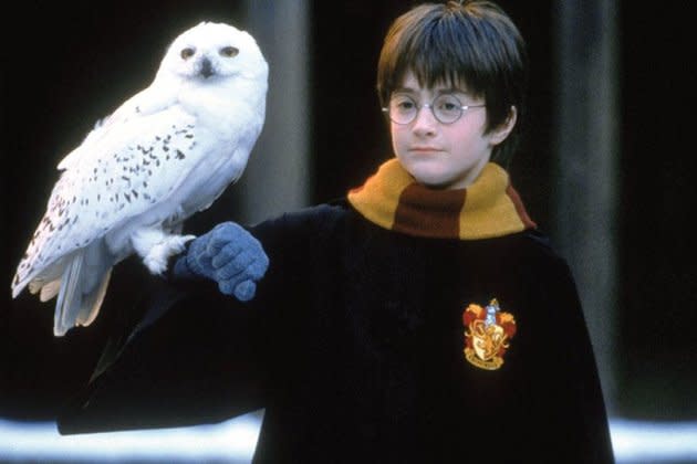 Harry Potter' Series Adaptation Official Now for HBO Max