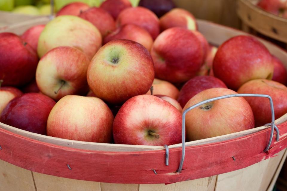 27) Outhouse Orchards, New York