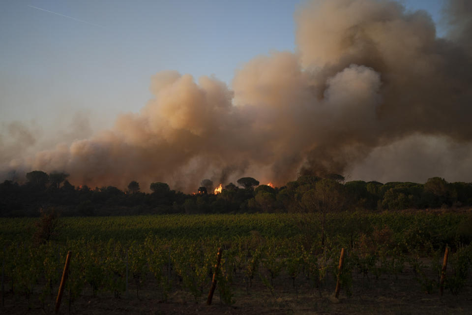 FILE - In this Aug.17, 2021 file photo, a fire rages over the Chateau des Bertrands vineyard in Le Cannet-des-Maures, southern France. Winemakers near the French Riviera are taking stock of the damage after a wildfire blazed through a once picturesque nature reserve near the French Riviera. The blaze left two people dead, more than 20 injured and forced some 10,000 people to be evacuated. (AP Photo/Daniel Cole, File)