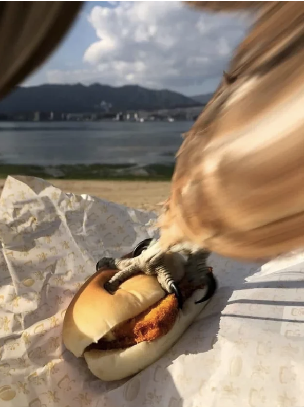 A bird is grabbing a hot dog from a bun, with a scenic lake and mountain background in the distance