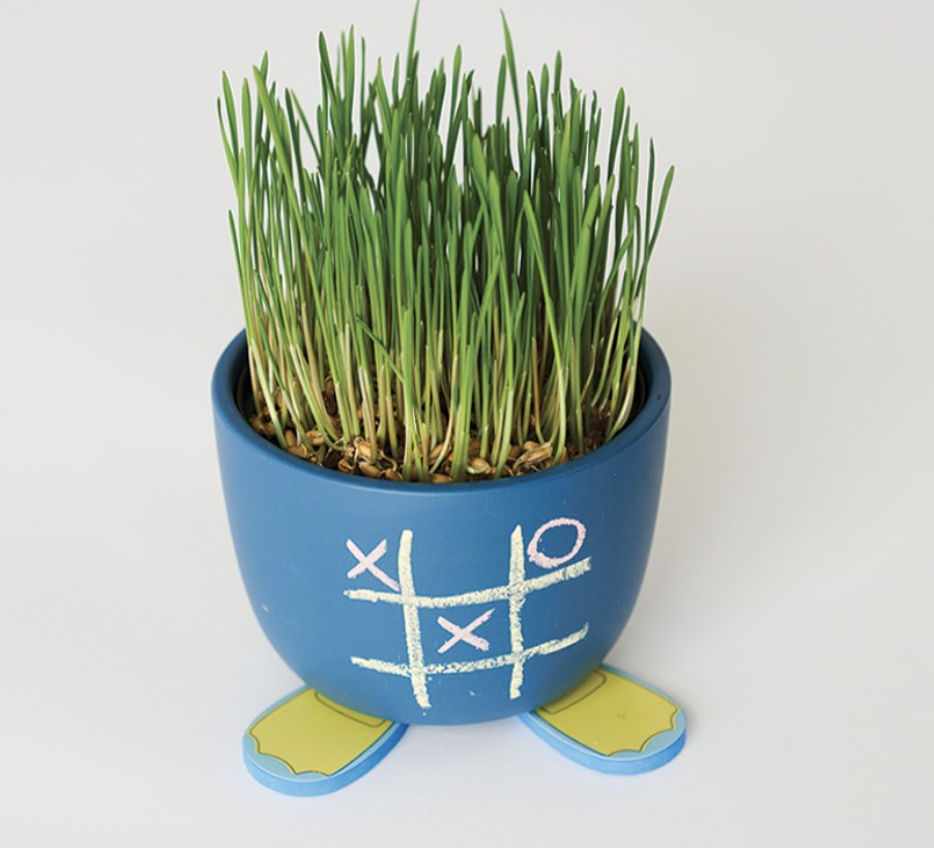 Draw & Grow Planter