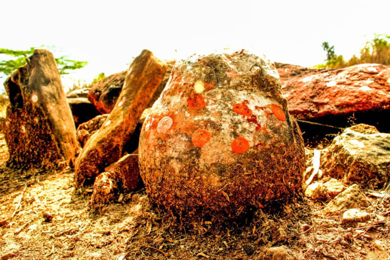 A stone sphere worshipped by Indian farmers for generations has turned out to be a fossilised dinosaur egg. Vishal Verma/dpa