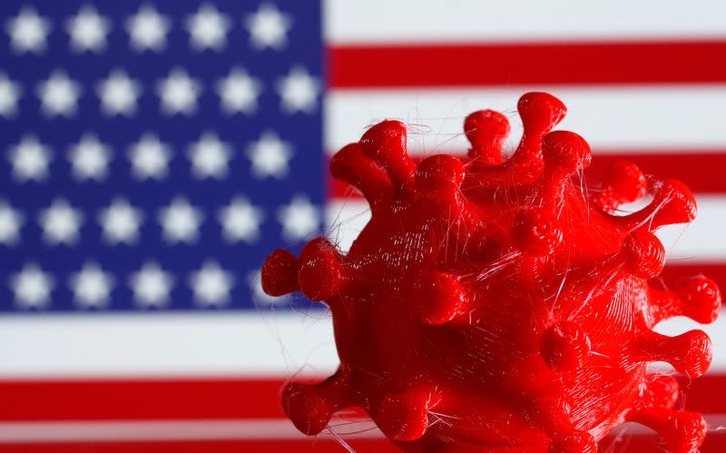 FILE PHOTO: A 3D-printed coronavirus model is seen in front of a U.S. flag on display in this illustration