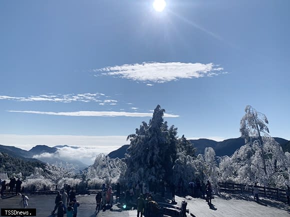 寒流來襲，太平山國家森林遊樂區 霧淞景致美極了！（羅東林管處提供）。