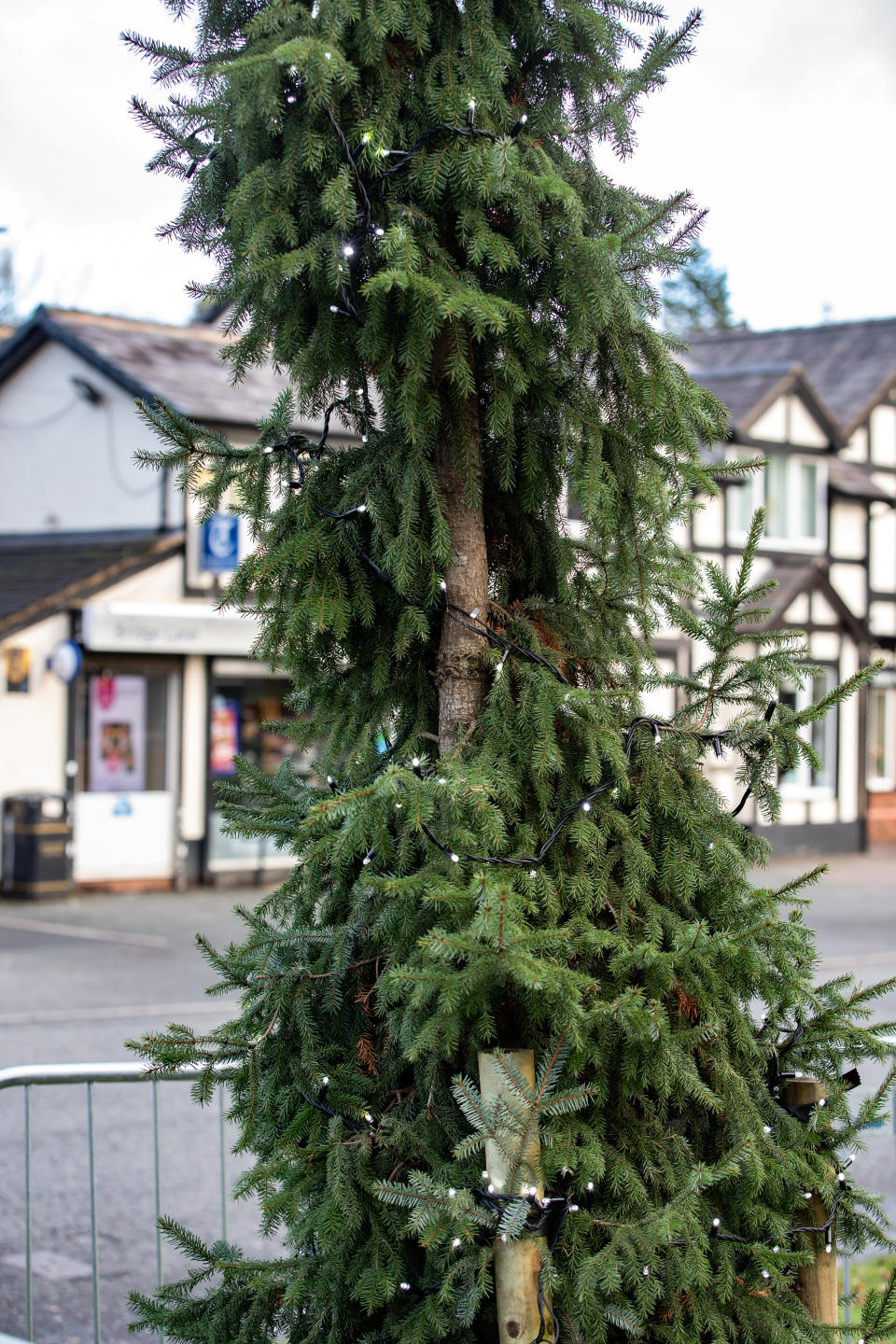 The threadbare Christmas tree is light on decorations. (SWNS)