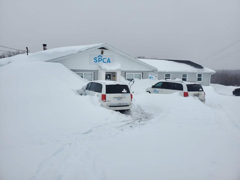 The Cape Breton SPCA was still snowed in as of Tuesday.