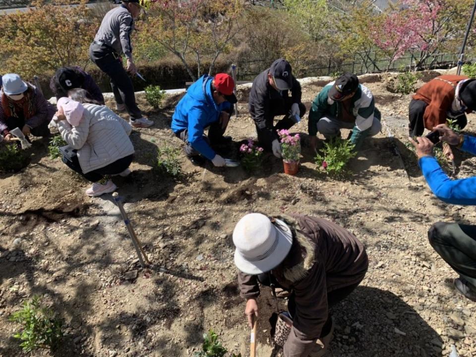 觀光局參山國家風景區管理處在梨山櫻緣丘辦理「鵑愛.梨山」植樹節活動。（記者徐義雄攝）