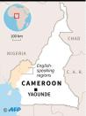 Cameroon (AFP/STF)