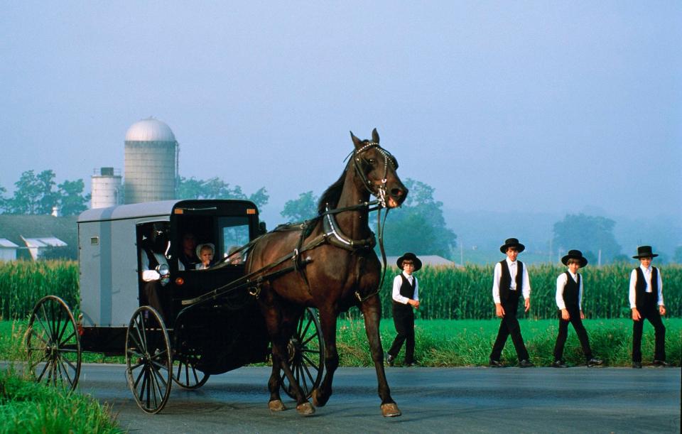 An Amish horse drawn cart in Pennsylvania.