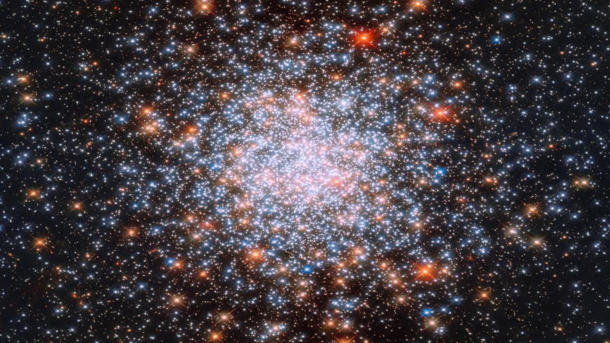  A Hubble telescope image showing many bright white stars surrounded by larger orange stars on a canvas of black space 