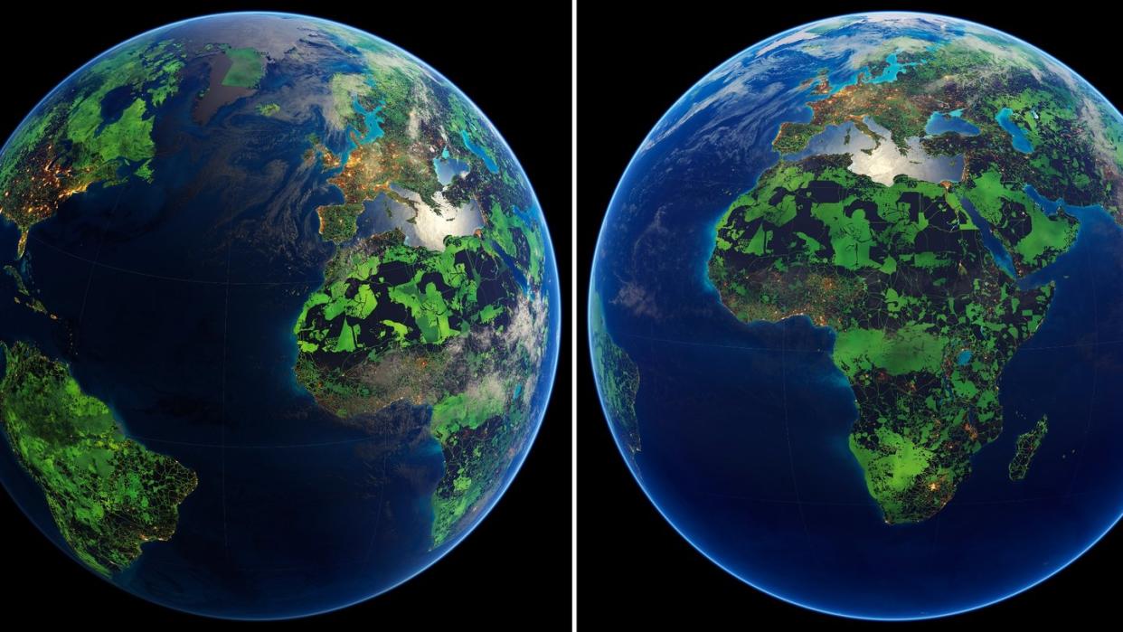 Visualisierung der Erde: Die grün dargestellten Flächen markieren laut der Studie diejenigen Gebiete, die unter Schutz gestellt werden müssten, um das Artensterben zu begrenzen und wirkungsvollen Klimaschutz zu leisten.