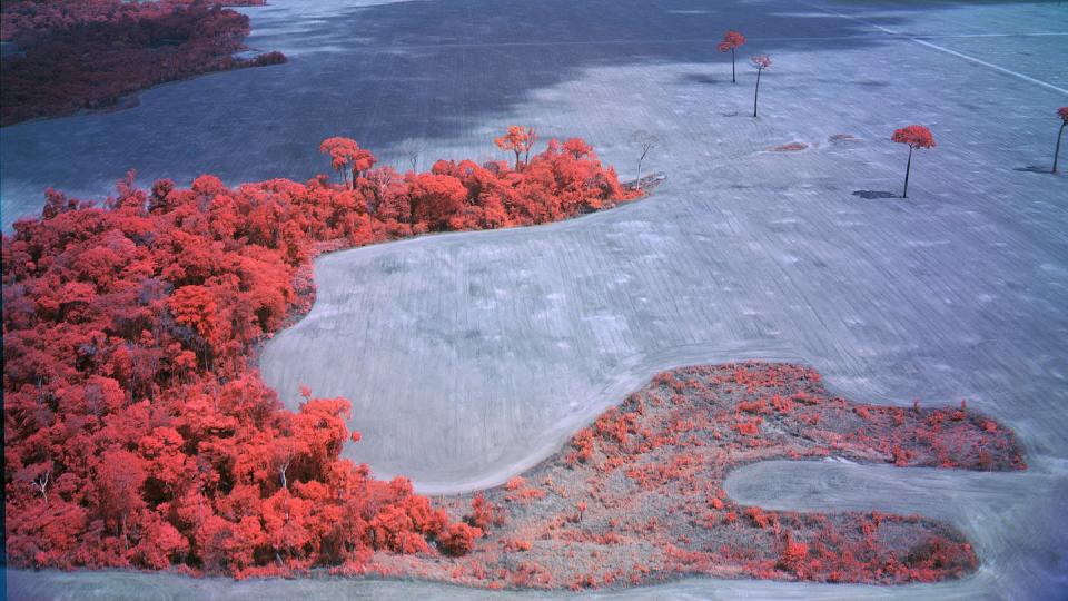 Richard Mosse, Broken Spectre, 2022 (still). Courtesy of the artist and Jack Shainman Gallery, New York