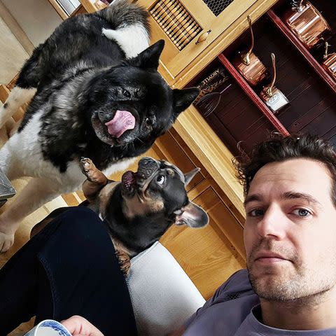 <p>Henry Cavill/Instagram</p> Cavill and Viscuso posted a first birthday tribute to their pet dog Baggins on Sunday