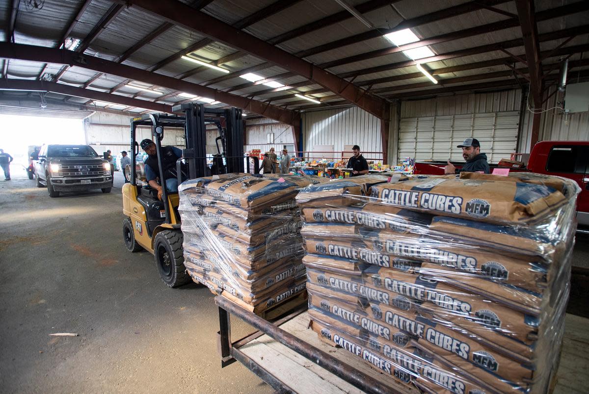 Martin Ocasio loads pallets of cattle cubes onto a trailer to be delivered to a rancher, in the Hemphill County Extension building in Canadian on Sunday, March. 3, 2024.