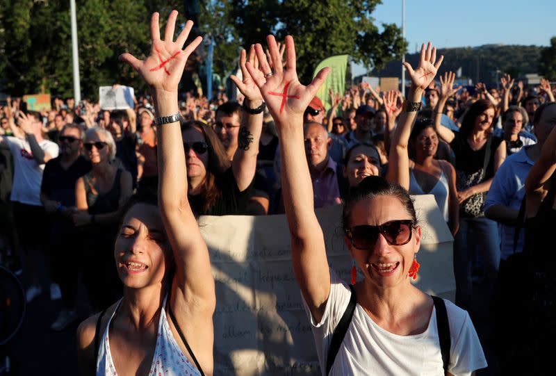 Hungarians protest against the loosening of logging rules, in Budapest