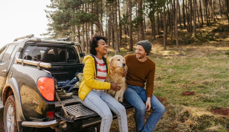 Informiert euch vor eurer Reise über Auslaufmöglichkeiten. In Städten können das zum Beispiel Parks, Hunde-Zonen oder Wälder sein. - Copyright: Aleksandar Nakic/getty images