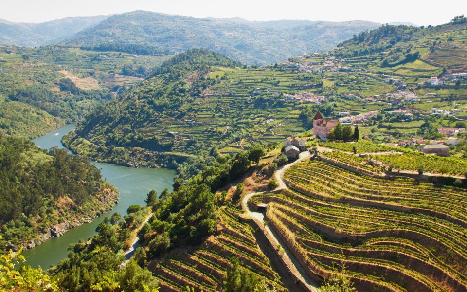 The river Douro and vineyards - Light-Lab/Getty