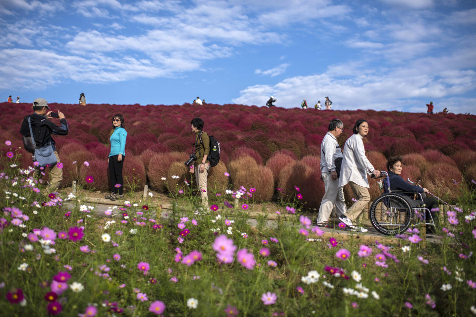 Pictures of the week