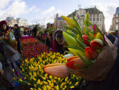 Scores of people pick free tulips on Dam Square in front of the Royal Palace in Amsterdam, Netherlands, Saturday, Jan. 18, 2020, on national tulip day which marks the opening of the 2020 tulip season. (AP Photo/Peter Dejong)