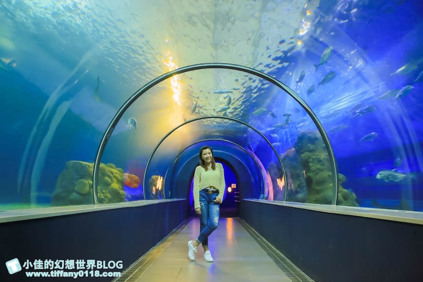 澎湖水族館