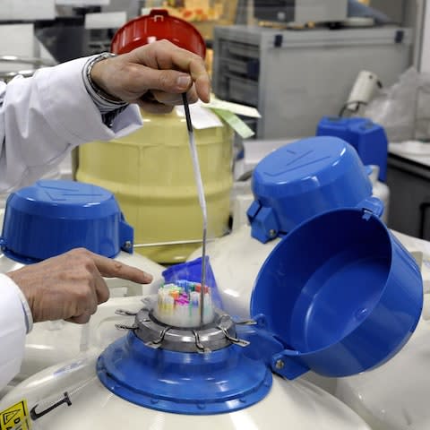 Samples of semen stored in liquid nitrogen tanks at The Femme-Mère-Enfant Hospital in Lyon. - Credit: PHILIPPE DESMAZES&nbsp;/AFP