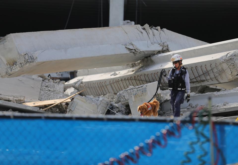 DORAL, FL - OCTOBER 10: A Miami-Dade search and rescue worker and her dog look for possible survivors in the rubble of a four-story parking garage that was under construction and collapsed at the Miami Dade College’s West Campus on October 10, 2012 in Doral, Florida. Early reports indicate that one person was killed in the collapse, at least seven people injured and one may be buried in the rubble. (Photo by Joe Raedle/Getty Images)