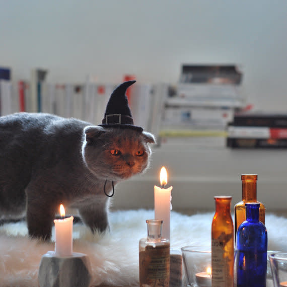 <a href="https://www.etsy.com/listing/253985968/cat-costume-witch-hat-hissy-witch-cat" target="_blank">Get it here</a>.&nbsp;