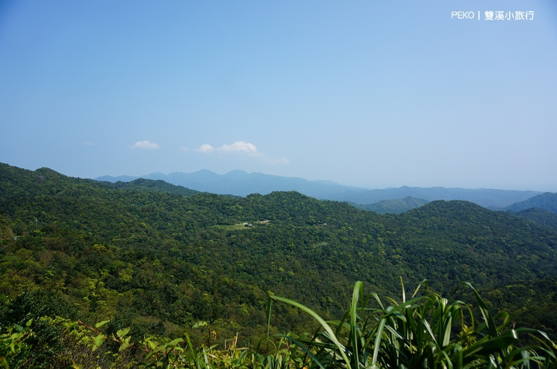 雙溪小旅行.新北一日遊.雙溪螢火蟲.雙溪山水綠境民宿.雙溪火車站.新北小旅行.壽山宮農夫市集.良心菜攤.