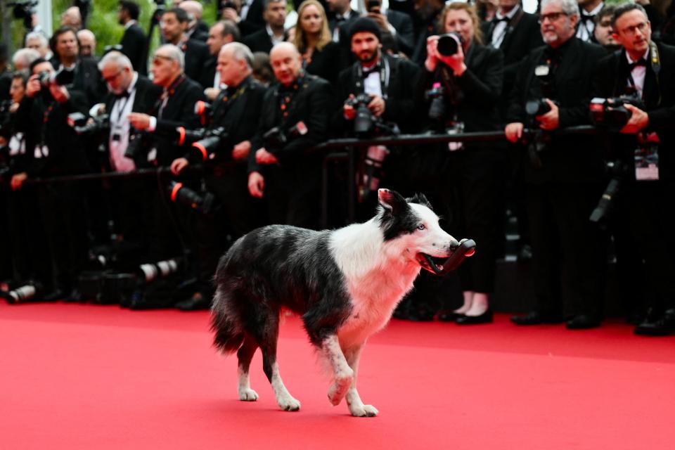 梅西首先踏上紅毯。（圖／Getty）