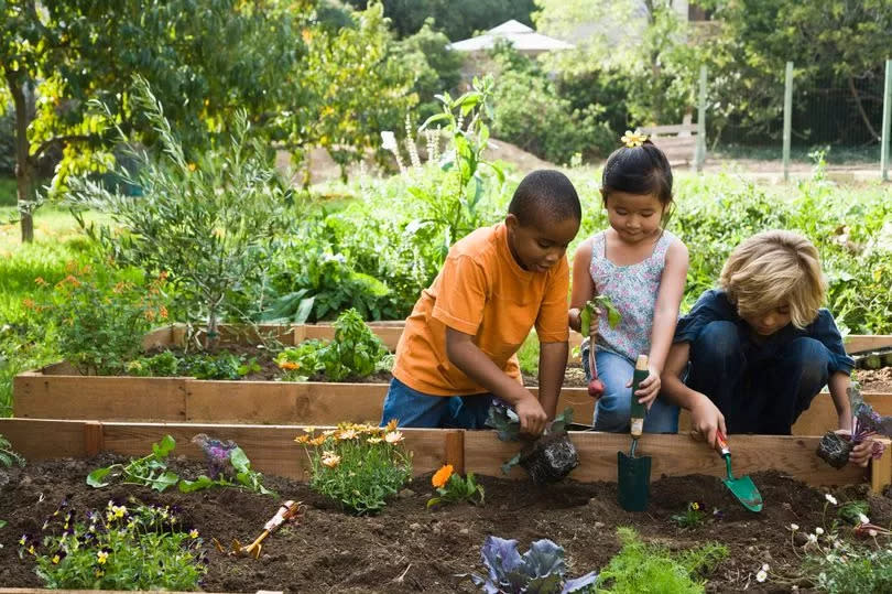 School kids gardening