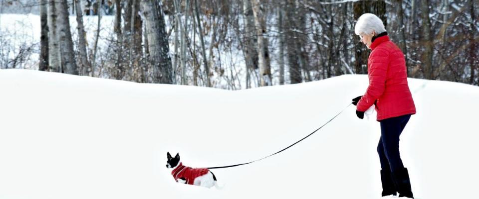 Woman and dog in matching red jackets walking in snow after winter storm in Minnesota.