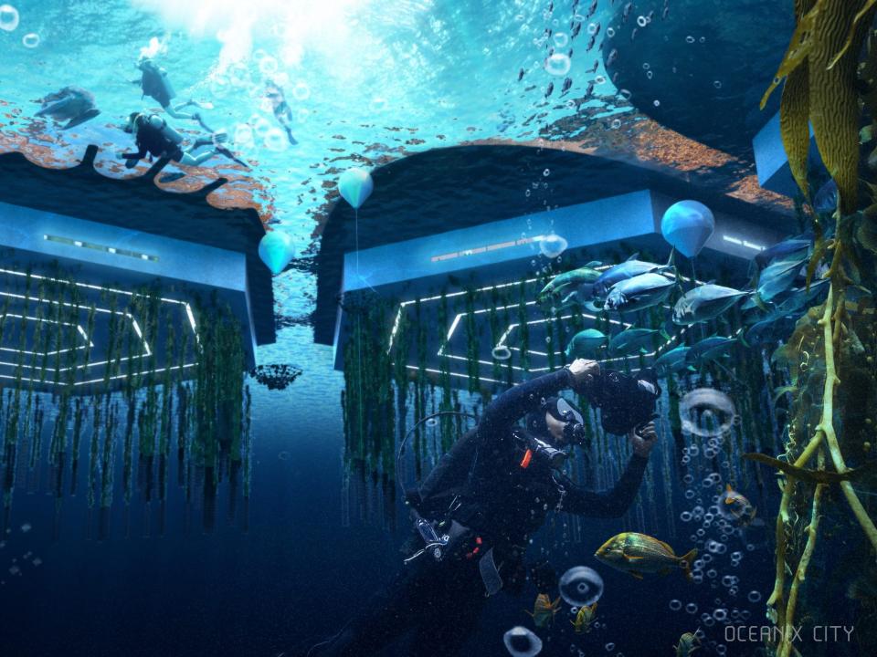 Underneath the platforms, engineers plan to install Biorock to help attract marine life and create coral reefs to regenerate the ecosystem