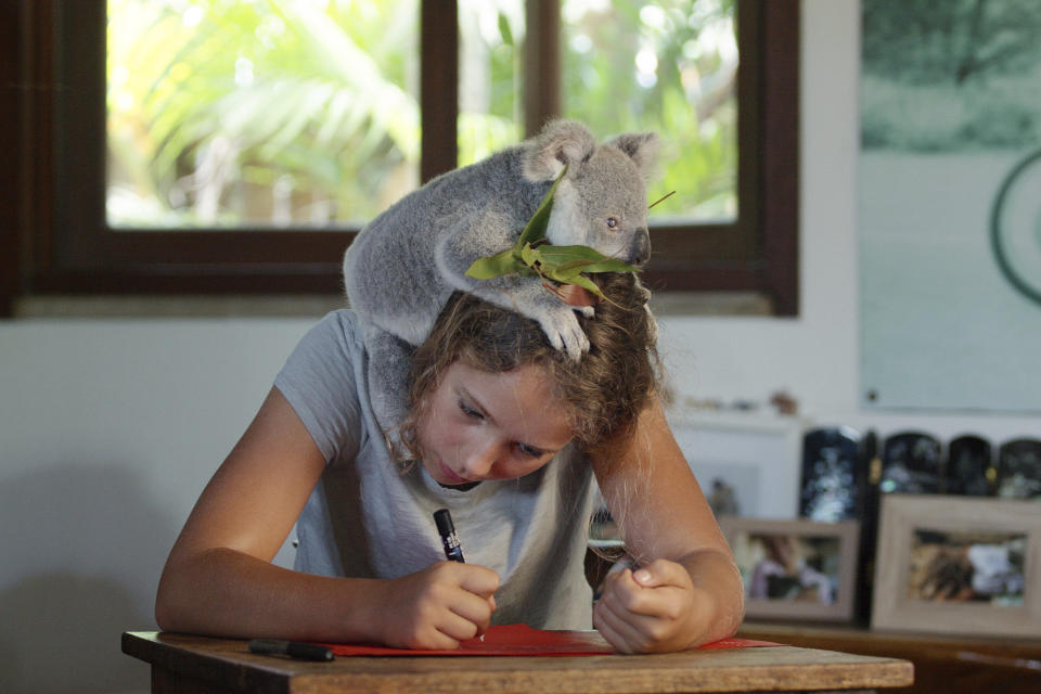 This image released by Netflix shows Izzy Bee with a koala bear in a scene from "Izzy's Koala World," which follows an 11-year old girl as she helps her veterinarian mom take care of koalas. (Netflix via AP)