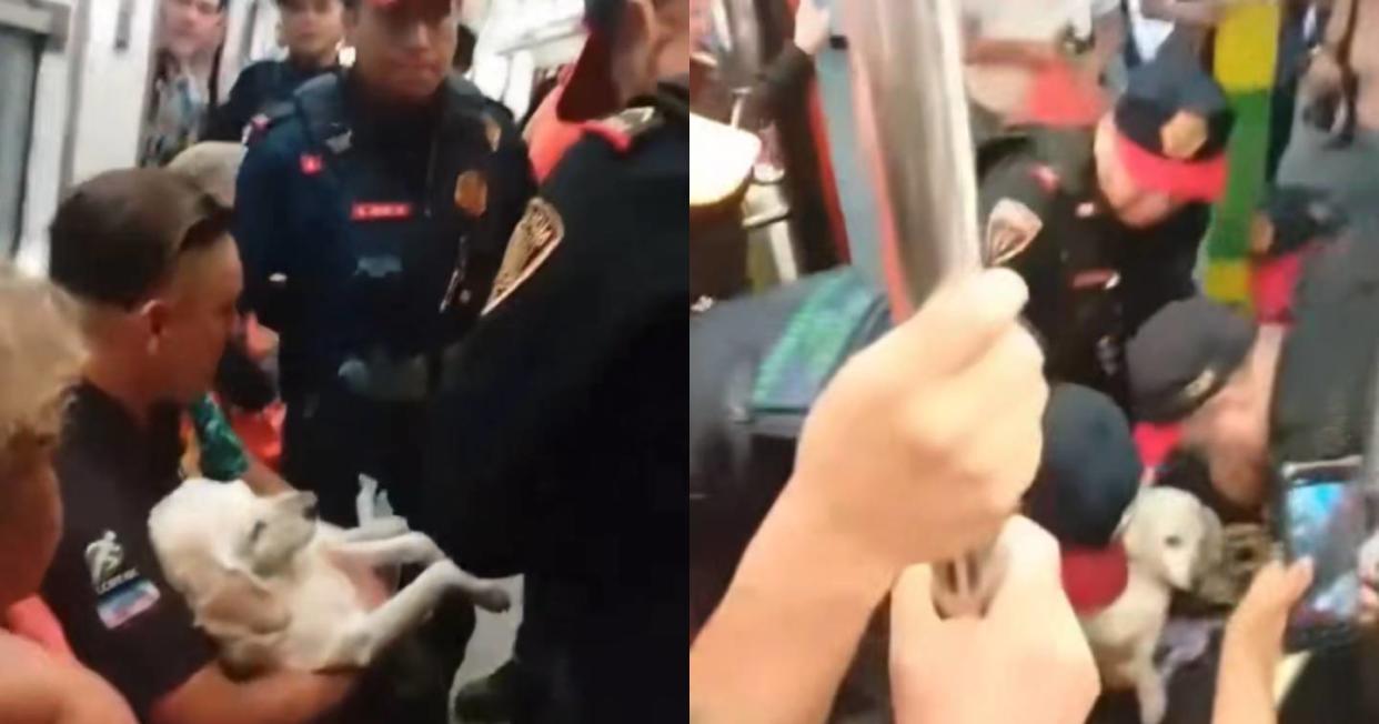 Policías de la CDMX sacan arrastrando del Metro a un hombre que iba con un perro herido. Foto: Captura de video X vía @MrElDiablo8