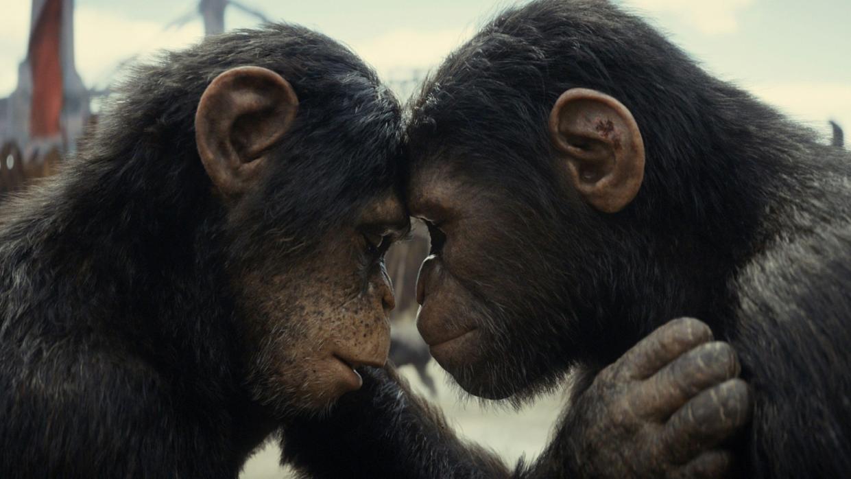  Two apes in Kingdom of the Planet of the Apes. 